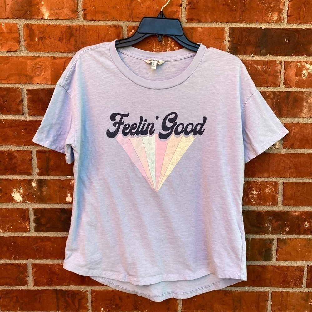 Wildfox Womens Medium Blue Feeling Good Retro Graphic Short Sleeve Tshirt